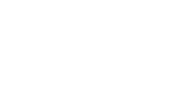 3BL Logo - White